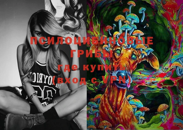 хмурый Абаза