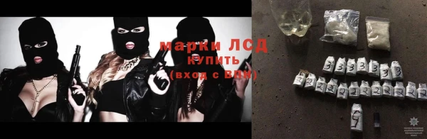 хмурый Абаза