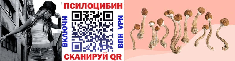 мориарти клад  hydra сайт  Елизово  Галлюциногенные грибы мухоморы 