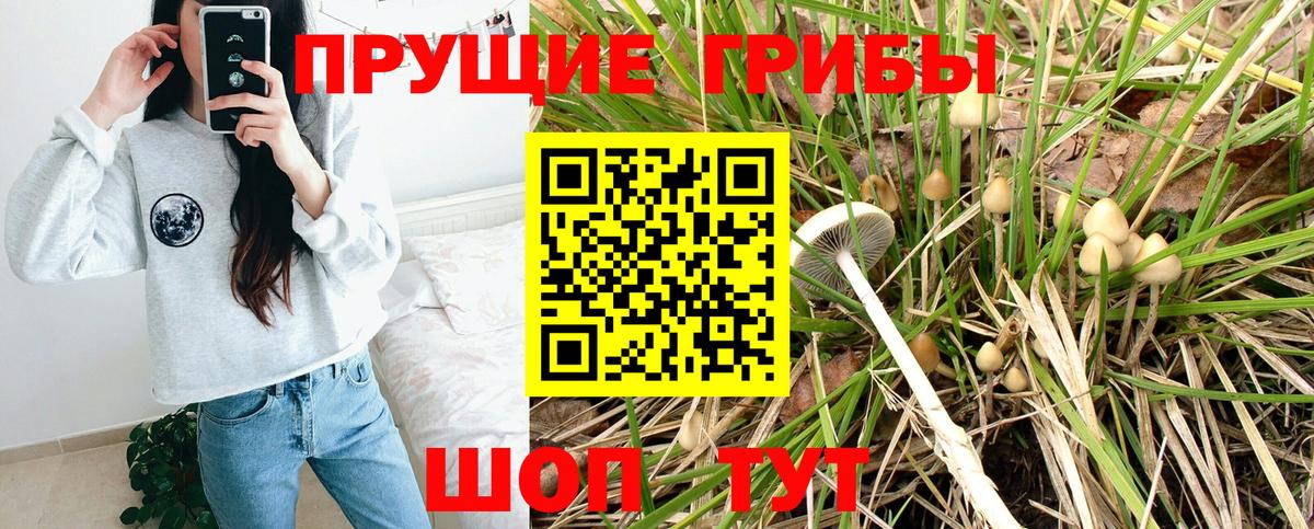 Галлюциногенные грибы ЛСД Елизово