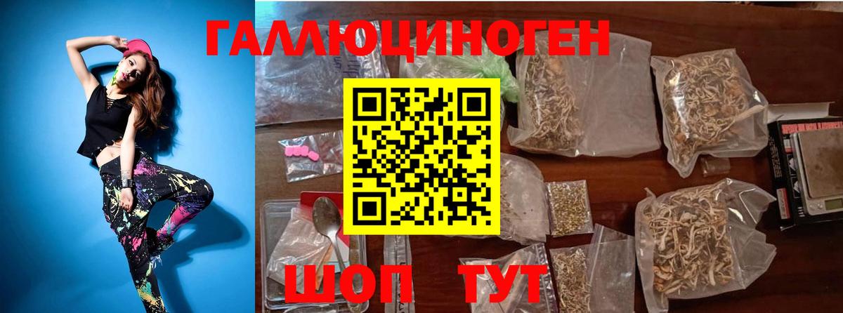 Псилоцибиновые грибы MAGIC MUSHROOMS  Псилоцибиновые грибы Magic Shrooms  Елизово  Вход с VPN 